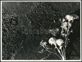 cca 1970 Kortárs fotóművészeti alkotások, 3 db vintage fotó, jelzés nélkül, 17x23 cm