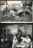 cca 1960 Tiszavölgyi József (1909-?) hagyatékából 13 db vintage fotó, többsége pecséttel jelzett, 13...