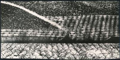 cca 1970 Zsigri Oszkár (1933-?) budapesti fotóművész hagyatékából 2 db vintage fotóművészeti alkotás...