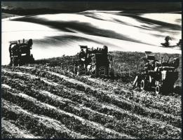 cca 1970 Gebhardt György (1910-1993) budapesti fotóművész hagyatékából 2 db vintage fotó, jelzés nél...