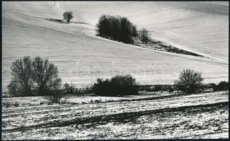 cca 1973 Gebhardt György (1910-1993) budapesti fotóművész hagyatékából 2 db vintage fotó, az egyik f...