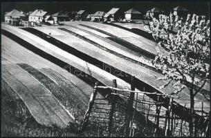 cca 1975 Gebhardt György (1910-1993) budapesti fotóművész hagyatékából 2 db vintage fotó, az egyik a...