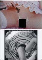 cca 1979 Szolidan erotikus fényképek hölgyekről, 13 db mai nagyítás korabeli vintage negatívokról, 1...