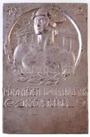 1934. "Pénzintézeti Sportegyletek Szövetsége 1912 / Fényképkiállítás 1934 Jury" ezüstözött fém plakett  "LUDVIG" gyártói jelzéssel (48x74,5mm) T:2,2-