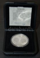 Hollandia 1999. 10G Ag "Millenium" T:PP Eredeti  díszdobozban, tanúsítvánnyal!