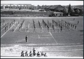 cca 1944 Katonai sport bemutató és nyilvános harcászati gyakorlat, 8 db szabadon felhasználható vintage negatív (24x36 mm) és az ezekről készült 2 db mai nagyítás, 18x25 cm