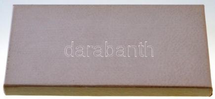 Amerikai Egyesült Államok 1981. "Egyesült Nemzetek Szövetsége hivatalos emlékérem - Zászló soro...