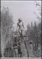 cca 1972 Sellő a stégen, 3 db szolidan erotikus fénykép, vintage negatívokról készült mai nagyítások...