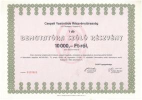 Budapest 1992. "Csepeli Vasöntöde Részvénytársaság" részvénye 10.000Ft értékben, vízjeles papíron, szelvényekkel T:I,I-