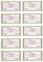 Budapest 1992. "Csepeli Vasöntöde Részvénytársaság" részvénye 10.000Ft értékben, vízjeles ...