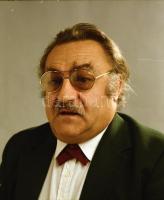 cca 1972 Magyar színészek galériája, 13 db szabadon felhasználható, vintage, portré negatív, 13 magy...