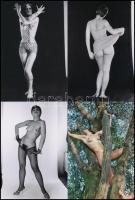 cca 1980 Esztétikai élmények, 33 db vintage negatívról készült mai nagyítás, 15x10 cm / 33 erotic ph...