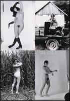 cca 1974 Ruha nélkül szebb az élet, szolidan erotikus fényképek, 66 db vintage negatívról készült ma...