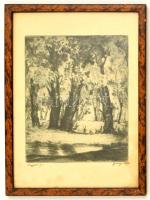 Garay Ákos (1866-1952): Nagybánya 1931, rézkarc, papír, jelzett, üvegezett fa keretben, 24×20 cm
