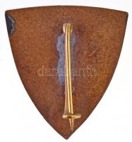 ~1970-1980. "Móricz Zsigmond Általános Gimnázium" zománcozott Br jelvény (30x28mm) T:2