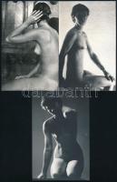 cca 1972 Akt tanulmányok, 13 db vintage fotó jelzés nélkül, 14x9 cm / 13 nude photos, 14x9 cm