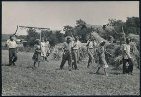 cca 1950 Aratás, 3 db fotó, 12x18 cm