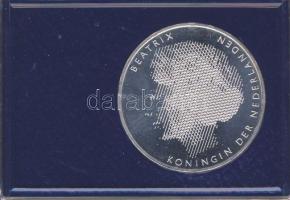 Hollandia 1988. 50G Ag "William & Mary" T:BU Eredeti dísztokban, tanúsítvánnyal!