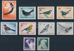 Madár motívum 45 db bélyeg 2 stecklapon Bird 45 stamps