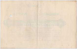 Budapest 1912. "Phylaxia Szérumtermelő Részvénytársaság" részvénye 500K-ról, magyar és ném...