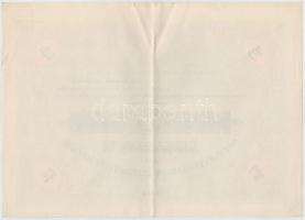 Budapest 1926. "Nemzeti Hitelintézet Részvénytársaság" részvénye 10P-ről (2x), sorszámköve...