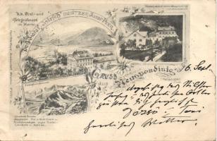 1898 Neuspondining (b)