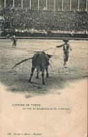 Madrid Bulls fight (EK)