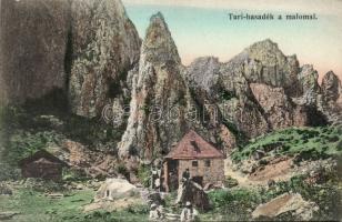 Turi hasadék malommal