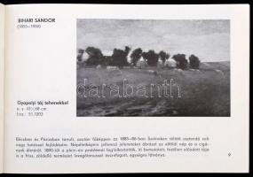 Szinyei Merse Anna dr.: Száz év magyar tájképfestészete. Vándorkiállítás a Magyar Nemzeti Galéria an...