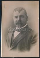 1913 Stoyan Danev, bolgár miniszterelnök. Korabeli sajtófotó, hozzátűzött címkével / Stoyan Danev, prime minister of Bulgaria Press photo. 18x14 cm