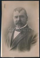 1913 Stoyan Danev, bolgár miniszterelnök. Korabeli sajtófotó, hozzátűzött címkével  /  Stoyan Danev, prime minister of Bulgaria Press photo. 18x14 cm