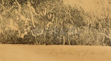 Dudás Jenő (1900-1991): Tölgyerdő. Rézkarc, papír, jelzett, 35×25 cm
