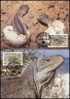 WWF: Iguana set 4 Maximum Card WWF: Leguán sor 4 db CM-en