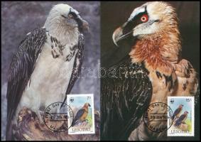 WWF: Bearded vulture set on 4 CM, WWF: Saskeselyű sor 4 db CM-en