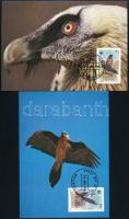 WWF: Bearded vulture set on 4 CM WWF: Saskeselyű sor 4 db CM-en