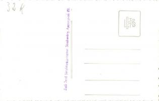 1940 Nagyszalonta, Salonta; Országzászló avatás, katonai vezetők és honleányok az ünneplő tömegben /...