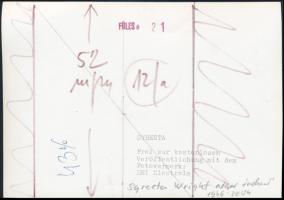 Syreeta Wright (1946-2004) amerikai énekesnő, sajtófotó, hátoldalon feliratozva, 11x17 cm