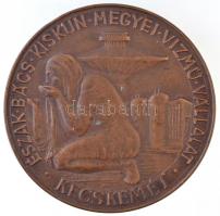 ~1970. "Észak-Bács-Kiskun megyei Vízmű Vállalat - Kecskemét" Br plakett (70mm) T:2 kis szennyeződés