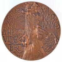~1970. A Hegyvidékért - XII. ker. tanács" Br emlékplakett (85mm) T:2