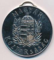 1994. "Diákolimpia '94 - Magyar Diáksport Szövetség / Magyar Köztársaság" fém emlékér...