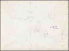 Hollandiai szélmalmok, pecséttel jelzett sajtófotó a Füles újság számára, 18x24 cm / winmills, Nethe...