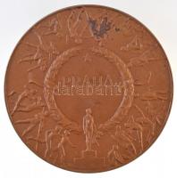 Csehország ~1947-1989. "Memoriál Evžena Rošického / Praha (Evzenu Rosickém Emlékverseny / Prága...