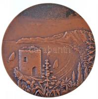 ~1970-1980. "Alassio - Riviera dei Fiori Italia / Épitök Sz.O.T. Budapest"' Br plakett (80mm) T:2