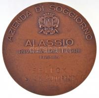 ~1970-1980. "Alassio - Riviera dei Fiori Italia / Épitök Sz.O.T. Budapest"' Br plaket...