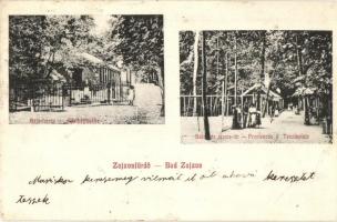 Zajzonfürdő, Zizin; Adalbertquelle, Promenade und Tennisplatz / Béla forrás, Sétatér és teniszpálya. Brassói Lapok kiadása / spring, promenade, tennis court