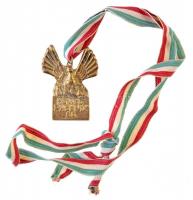 DN "Honvéd Phoenix S.E." aranyozott fém medál nemzetiszínű szalagon (~31x50mm) T:2,2-