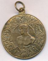 DN Atlétikai Br díjérem füllel, "LUDVIG" gyártói jelzéssel (30mm) T:2