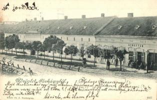 Párkány, Stúrovó; utcakép, gyógyszertár. St. J. kiadása / street view, pharmacy (EK)