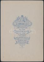 cca 1884-1907 A veszprémi várhegy, keményhátú fotó Becske Adolf (1850-1923) veszprémi műterméből, 11...