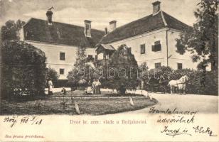 Bozjakovina (Zagreb), Dvorac Draskovic / castle, J. Szüts (EK)